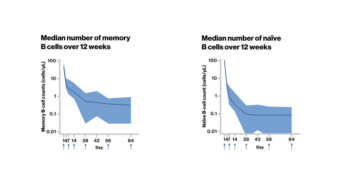 B-cell kinetics_2.1