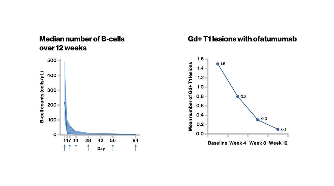 B-cell kinetics_4