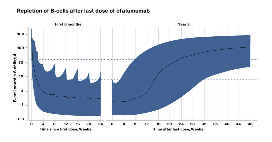 Repeltion of B-Cells.jpg 
